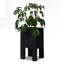 Jardinière Hoarce - Brûlé récupéré-62900520-48966758
