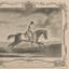 Race Horse With A Jockey II Print by Richard Houston
