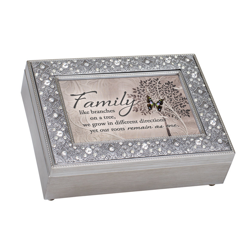 Plastic Memory Box