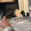 Customer photo 2 of 4
