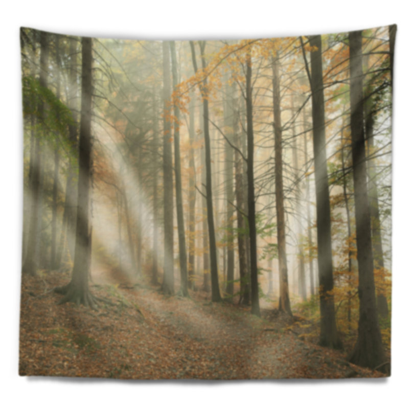 Chemin de polyester dans une tapisserie de forêt d’automne misty avec accessoires suspendus inclus, H 32 po x l 39 po