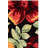 Jardin Hand Tufted Wool; Cotton Floral Indoor Rug-117794899