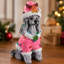 Statue de Noël caniche, Figurine de chien des Fêtes en tenue de père Noël pour la décoration intérieure