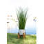 Herbe d'oignon artificielle en pot-1315497337