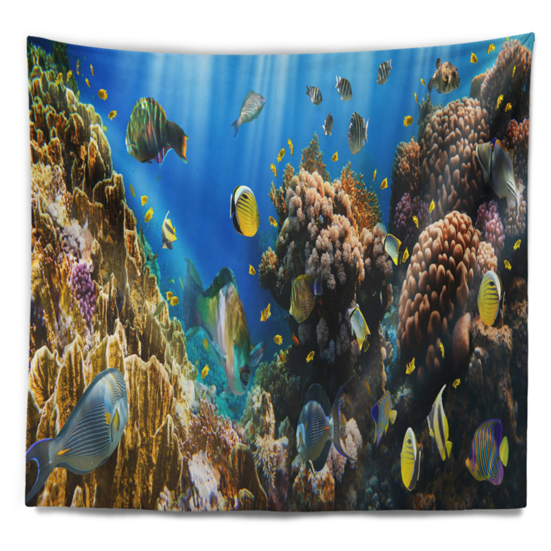 Photographie coral colony panorama tapisserie, H 32 po x l 39 po