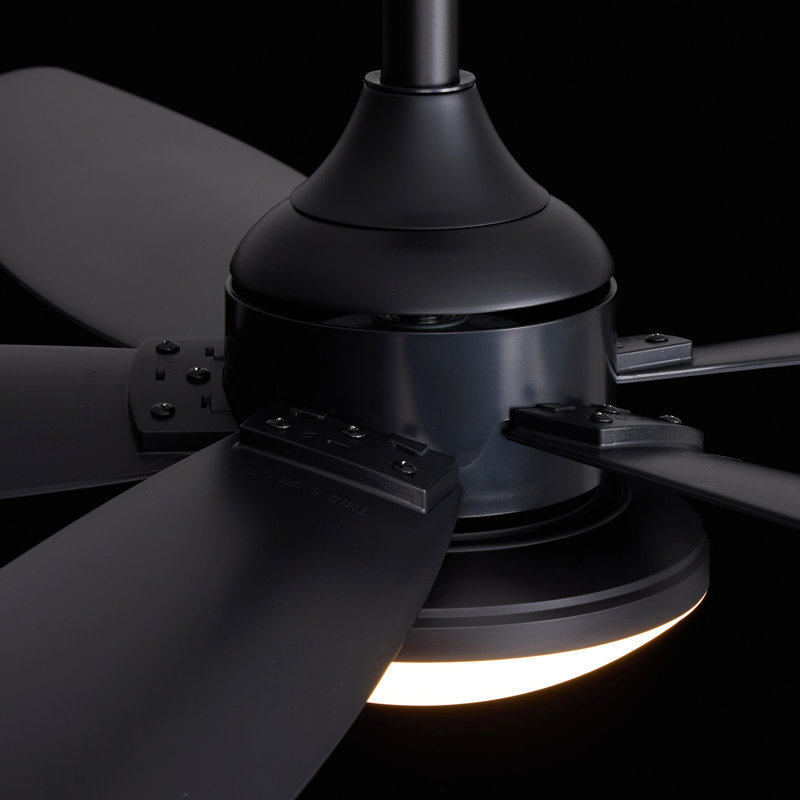 52" 5-Blades Ceiling Fan with Light Black