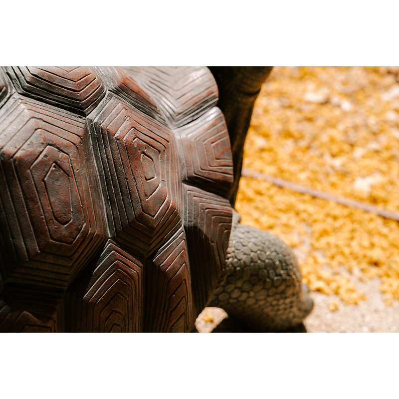 Tortoise Statue