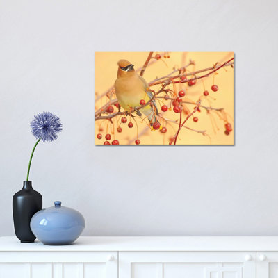 " Cedar Waxwing " by Brian Wolf