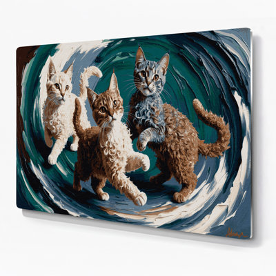 Cats Selkirk Rex Gray Metal Wall Art