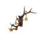 Applique murale encastrée 3 lumières Antler Elk