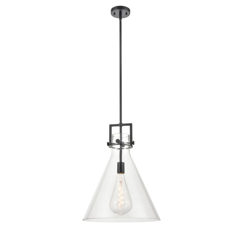 Luminaire suspendu avec tige 30 po Coterie, Transparent, H 20,38 po x l 16 po x P 16 po, Noir mat