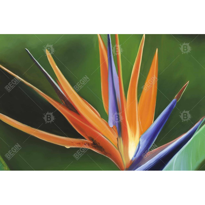 Oiseau de paradis, art floral sur toile hyperréaliste