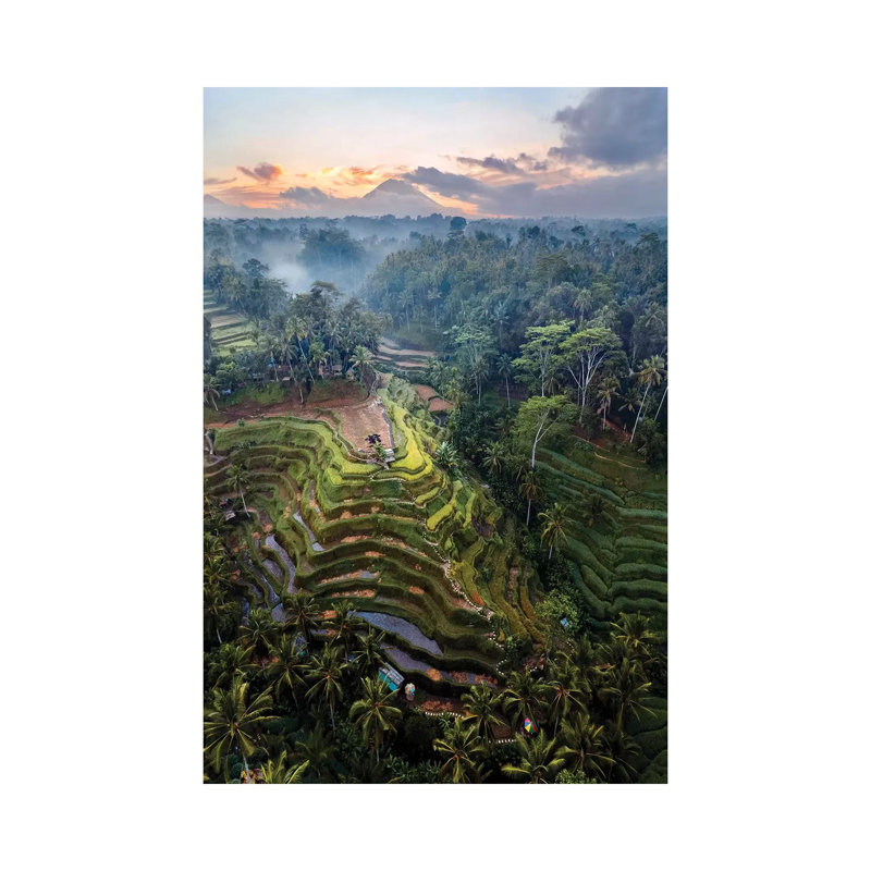 Rizières en terrasses de Bali IV par Matteo Colombo - reproduction de photo sur toile tendue, H 26 po x l 18 po x 1,5 po