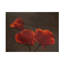 Art sur toile Coquelicots Jay Marik-105650451