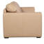 SS Leather Sofa-873952059