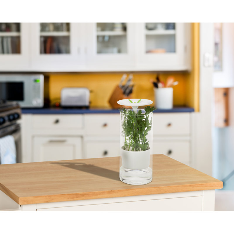 Clear Glass Herb Preserver Jar with Flip Top Lid