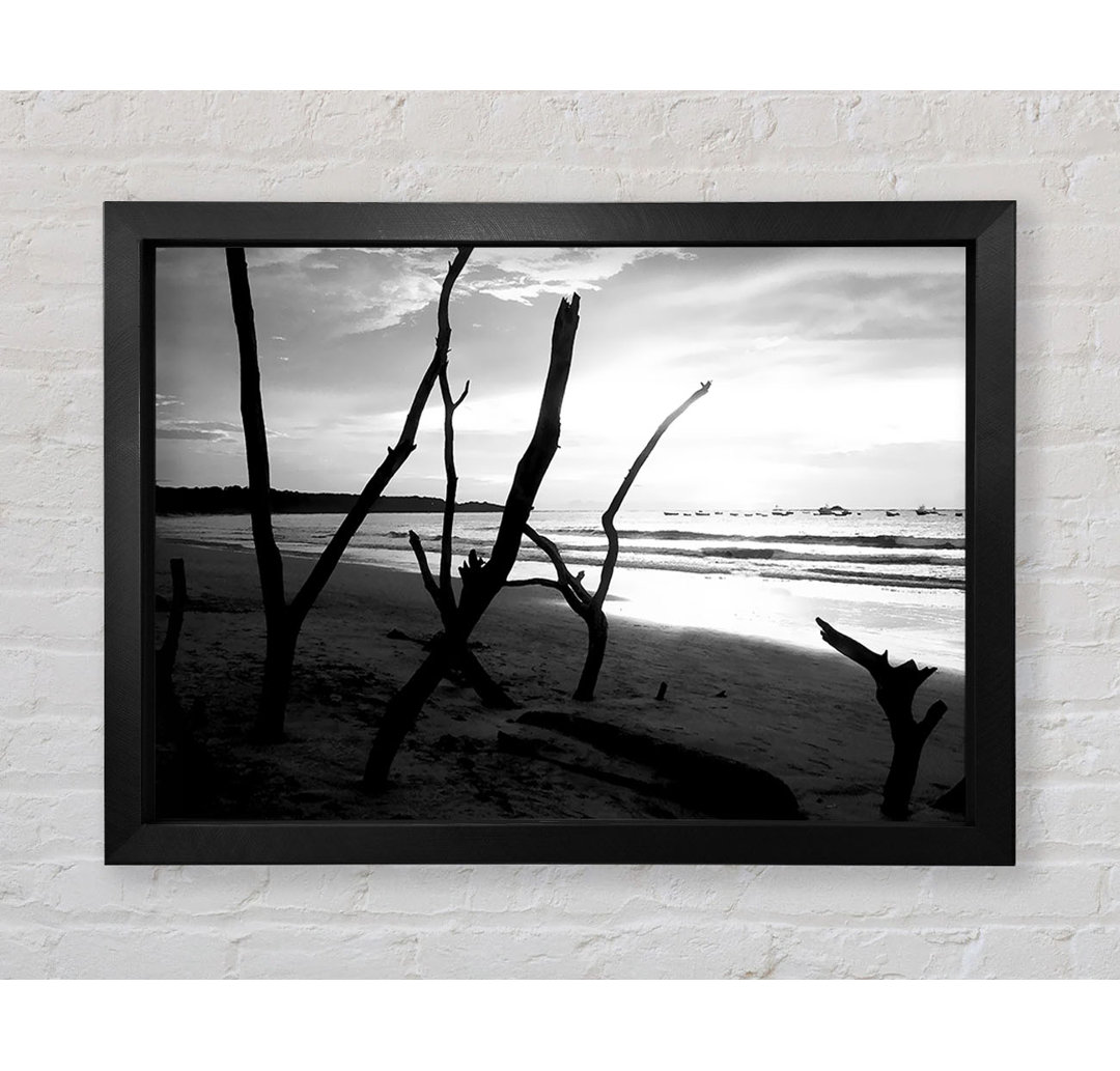 Gerahmtes Poster Driftwood Beach B N W