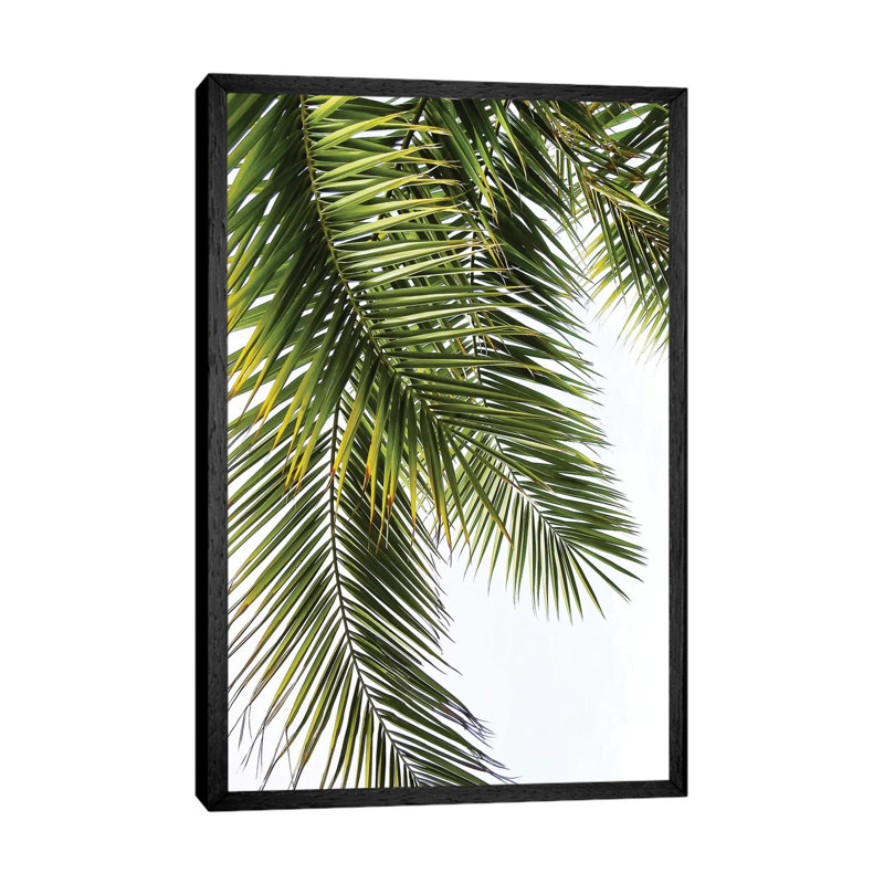 Palm Leaves by Lexie Greer - Print on Canvas, 66.04 cm H x 45.72 cm W, Black Floater Framed