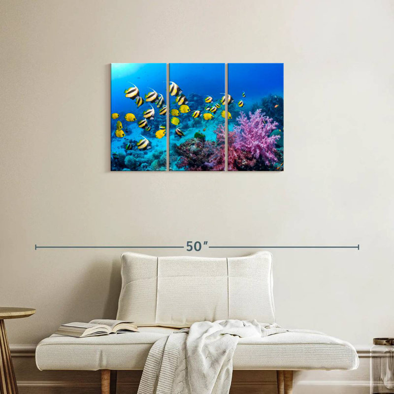 Brampt Gorgeous Coral Reef, 20" H x 33" W