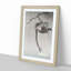 Monkey by Ohara Koson - Picture Frame Painting Print-55610415-55610416