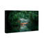 «Kyana Animals», David Fleetham - tigre du Bengale, impression sur toile verte-1095268682