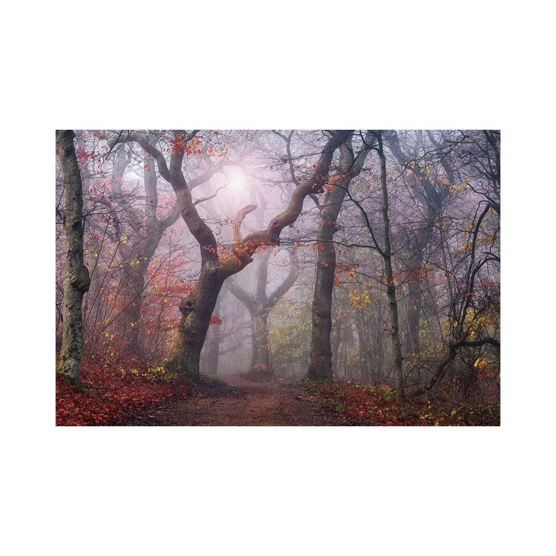 Walking The Old Path by Leif Londal - Wrapped Canvas Print, 30.48cm H x 45.72cm W x 1.905cm D