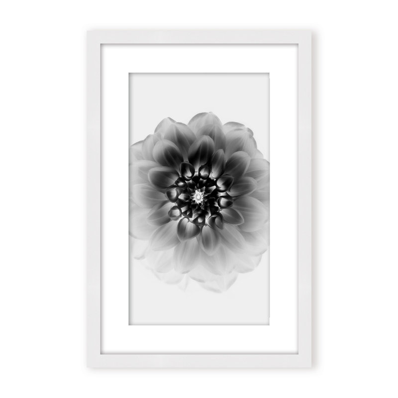 X-Ray Print by Alex Zhao, 48" H x 32" W x 1.125" D, Black, Framed Matted Print