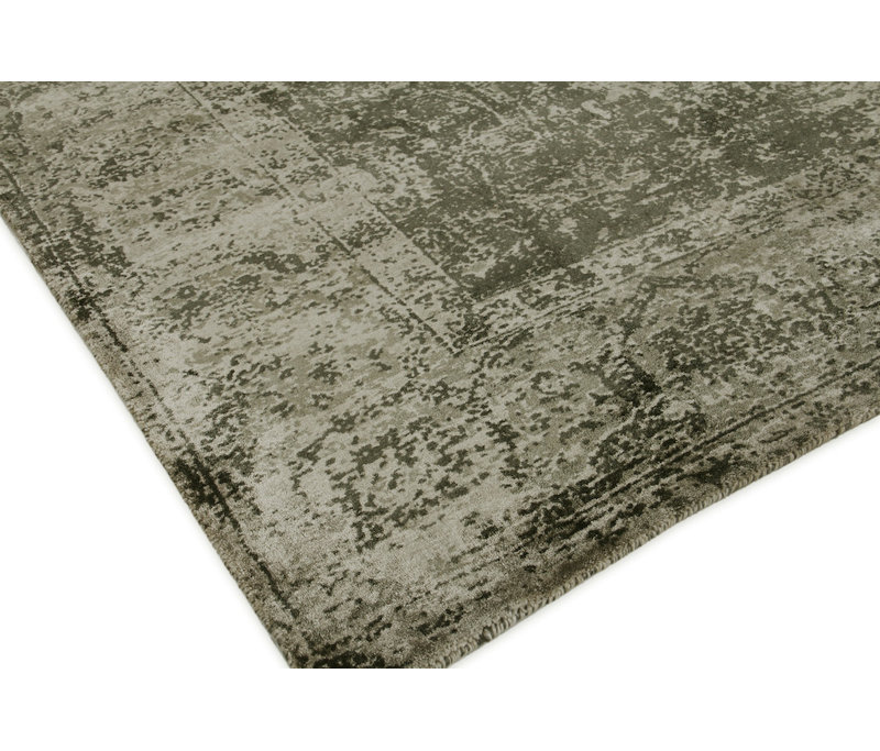 Cassina Oriental Area Rug, Rectangle 8' x 10'