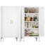 Armoire de rangement en métal avec 2 portes et tablettes réglables - Casier en acier pour cuisine, salon, salle à manger et bureau