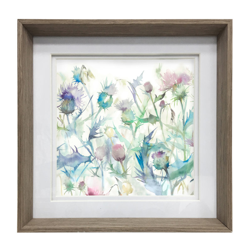 Cirsium Cirsium Damson - Single Picture Frame Print