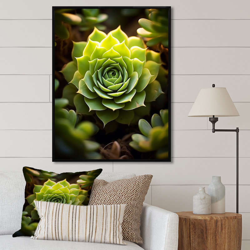 «Green Succulent Bloom», reproduction d'art sur toile, H 32 po x l 24 po, Cadre flottant noir