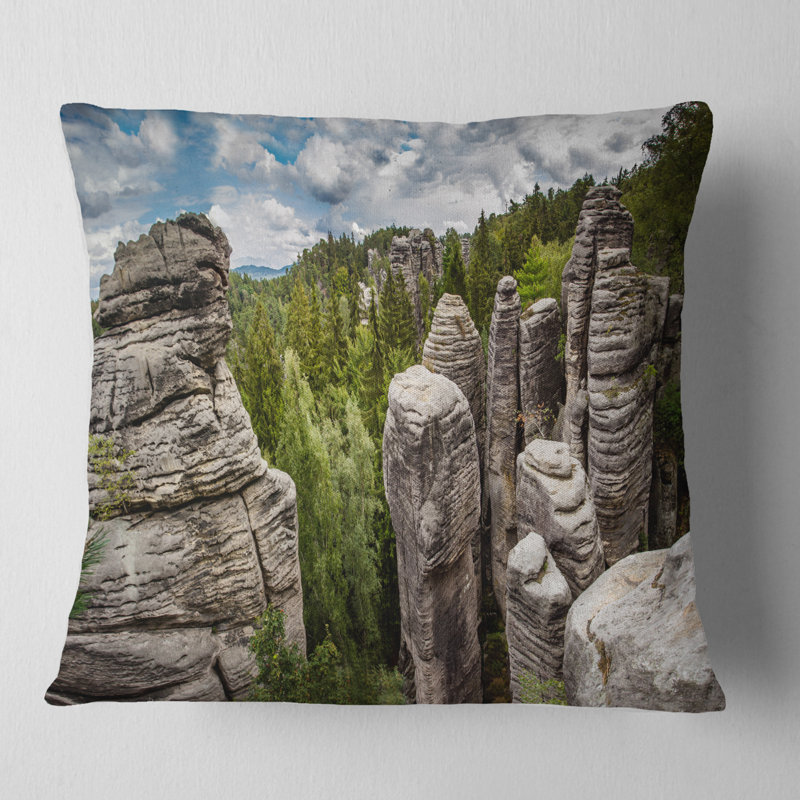 Coussin Schafer Landscape, 18 po x 18 po, Coussin décoratif
