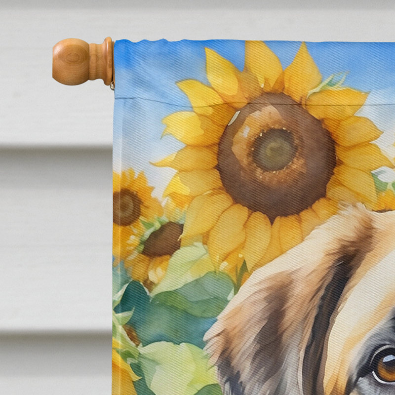 Drapeau de la maison du tournesol Malamute d'Alaska, Berger d'Anatolie
