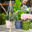 Plant Hanger
