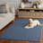 River 600 Performance No Pattern Rug-578588084