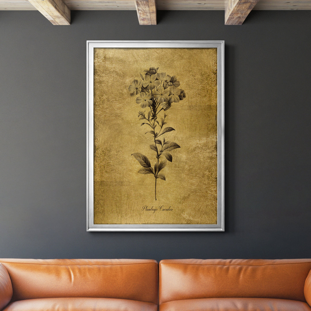 Ameelya " Gold Sketch Botanical II " Lark Manor™ Frame 