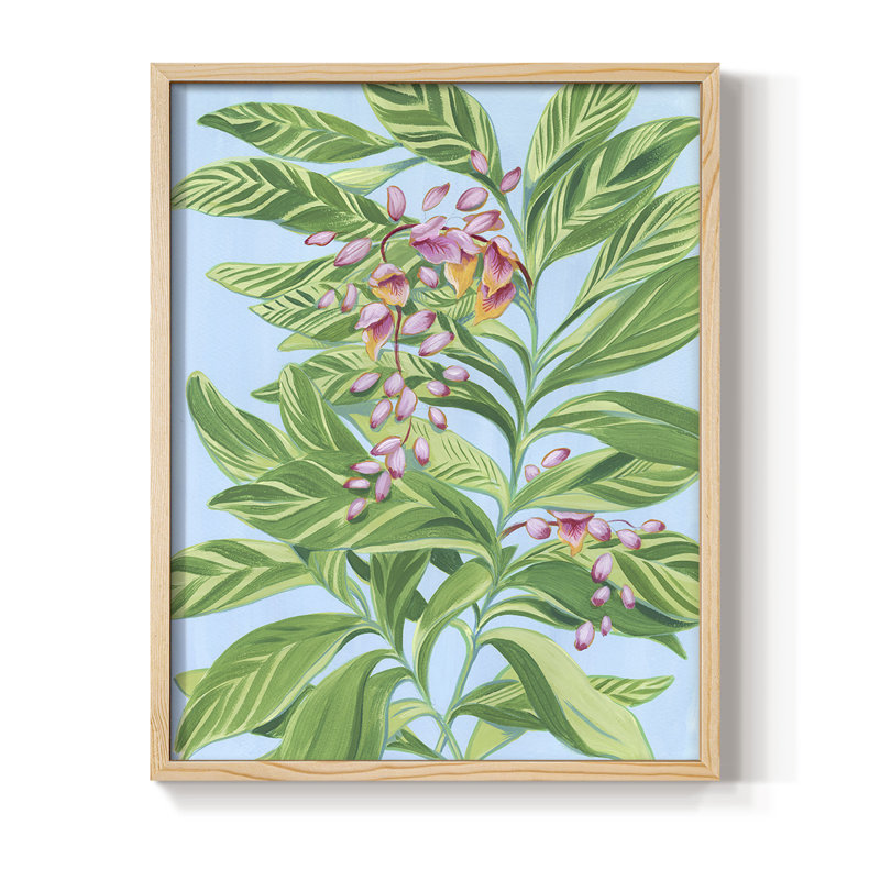 Tropical Shell Ginger II Framed Print - Solid Wood, 11" H x 9" W