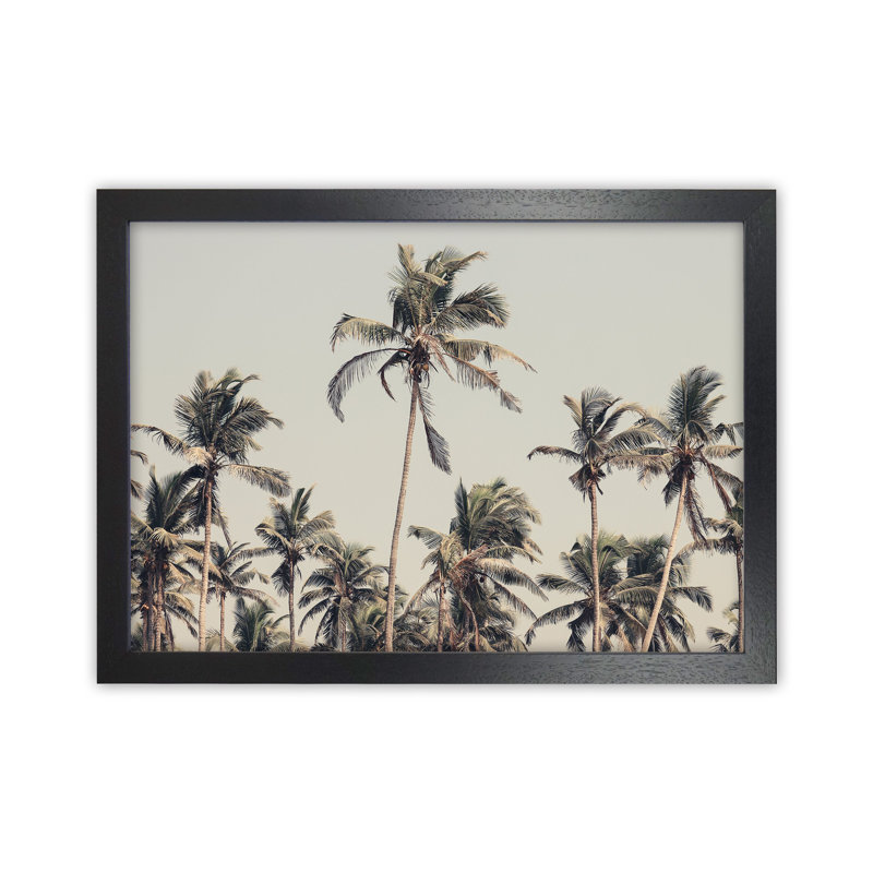 Palm Trees On The Beach by Victoria Frost - Print, 64cm H x 88cm W x 3cm D, Black Framed