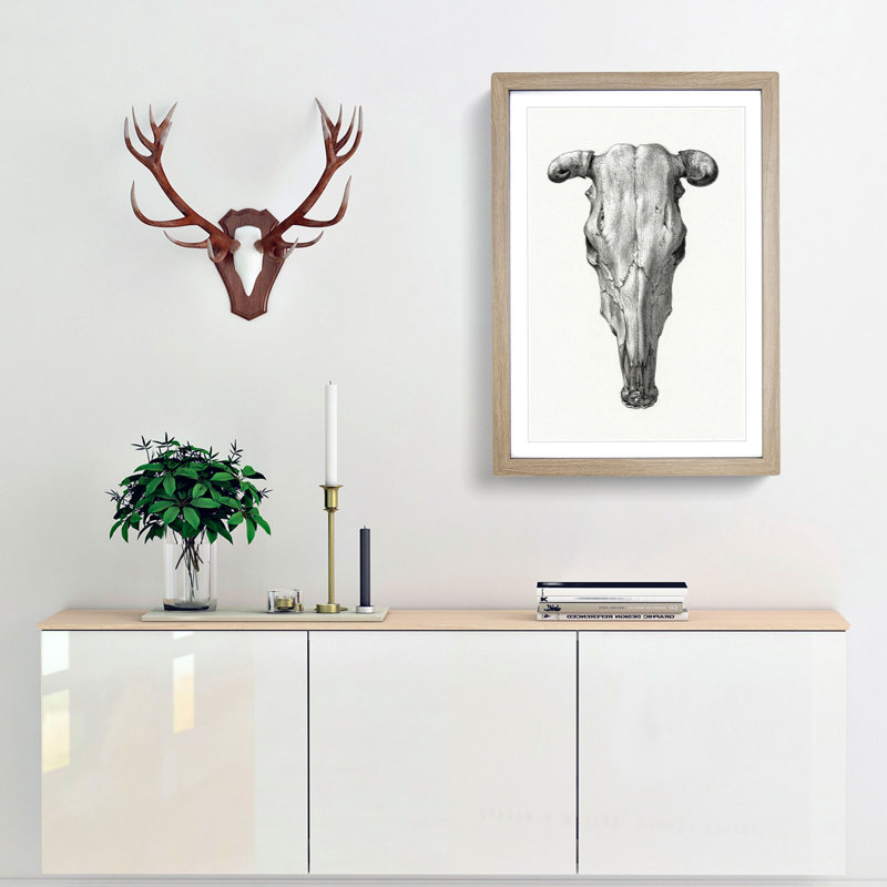 The Skull of a Cow by Jean Bernard - Picture Frame Drawing Print, 36cm H x 27cm W x 2cm D, Oak Framed