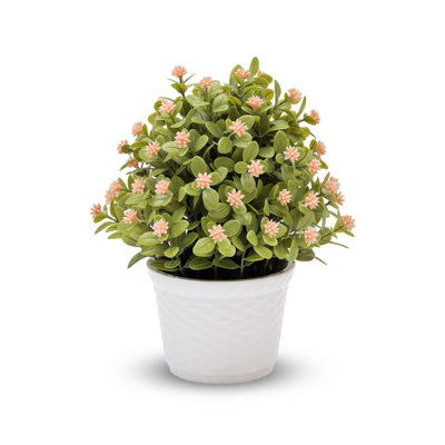Souffle de bébé en pot