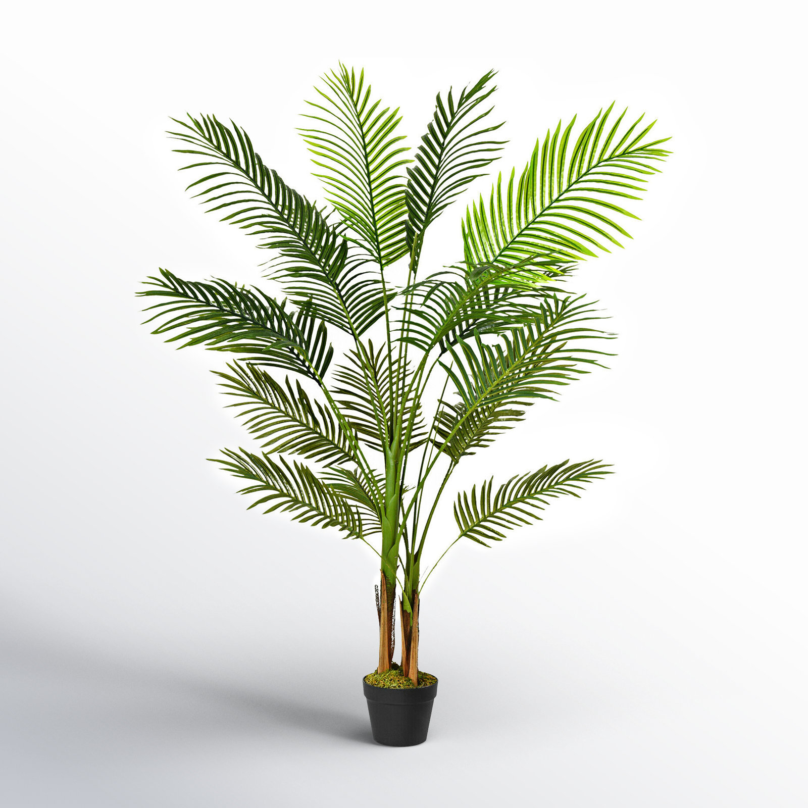 60" Palm Tree with Base Included, 60" H x 44" W x 49" D