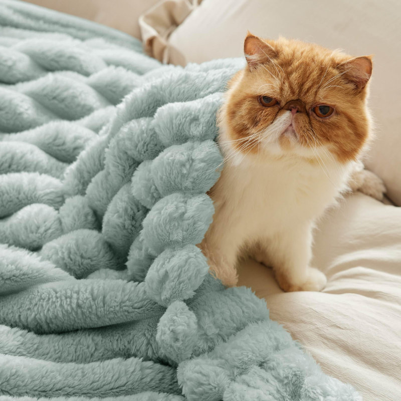 Bedsure Fleece Throw Blanket – Super Soft Cozy Throw for Dorm Bed & Couch – Jadeite(60x80) – Ideal Gift for College Students