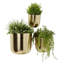 Ensemble de pots à fleurs en fer 3 pièces Magdalena-1540247049