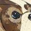 « basset hound », impression