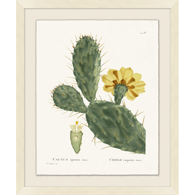 Blooming Cacti 9 Print by Nathan Turner