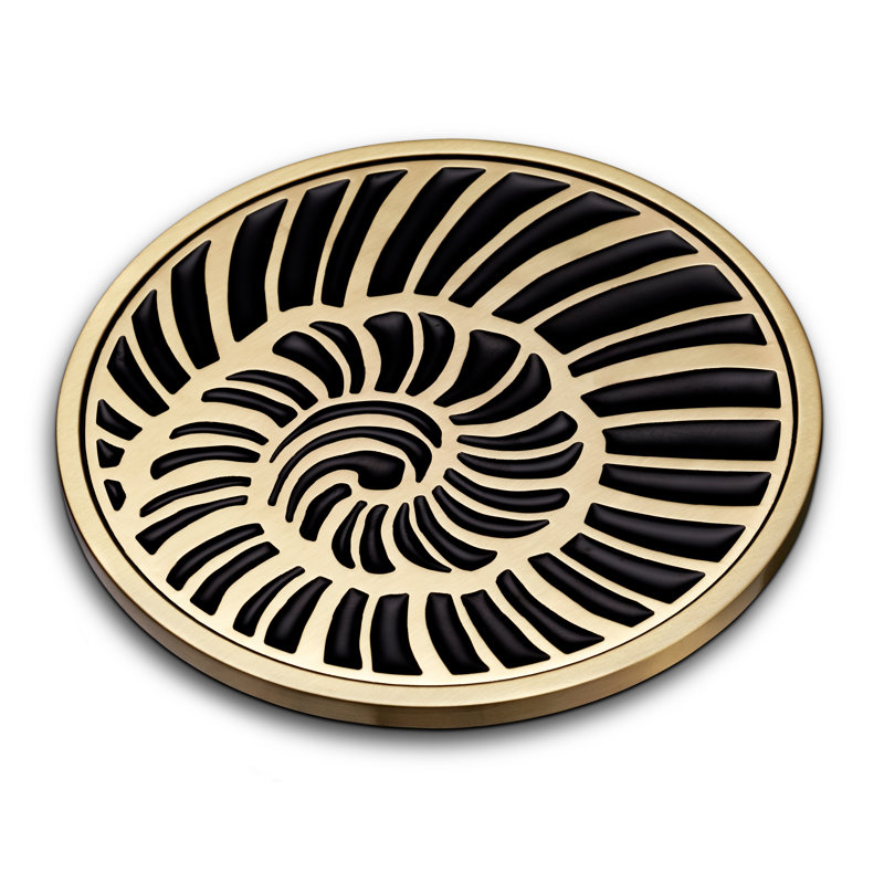 Shell Coasters