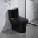 Maci 1-piece 4/6L GPF Dual Flush Right Height Elongated Toilet in Black