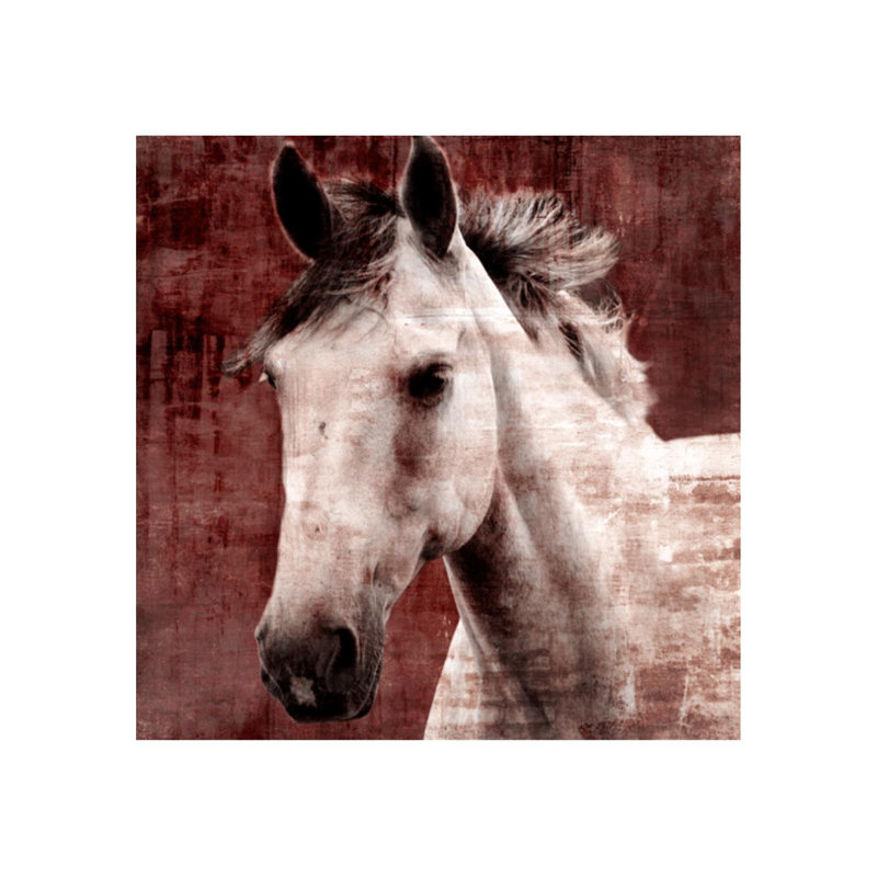 Aristotle IV Print by Leftbank Art, Outdoor, 47" H x 47" W