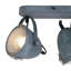 Roark Ceiling Spotlight