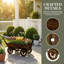 Chariot de fleurs compact en bois poussé à la main, jardinière mobile en bois